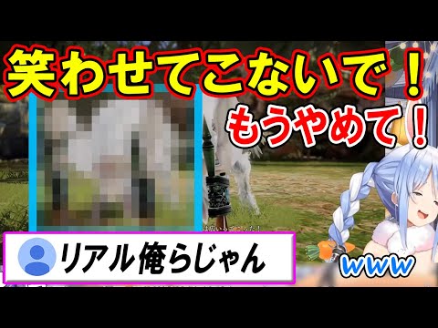 野うさぎの正体に笑いが止まらなくなる兎田ぺこらｗ【ホロライブ切り抜き】