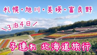 【子連れ北海道旅行】札幌(モエレ沼公園、ロイズカカオ&チョコレートタウン、トリトン)・旭川(旭山動物園)・美瑛(白金青い池、四季彩の丘)・富良野・ノーザンホースパーク
