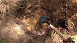 DIGGING TEASER