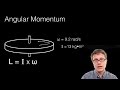 Angular Momentum and Inertia Concepts