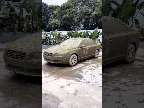 Man Restores Abandoned Car From Trash 🚗✨