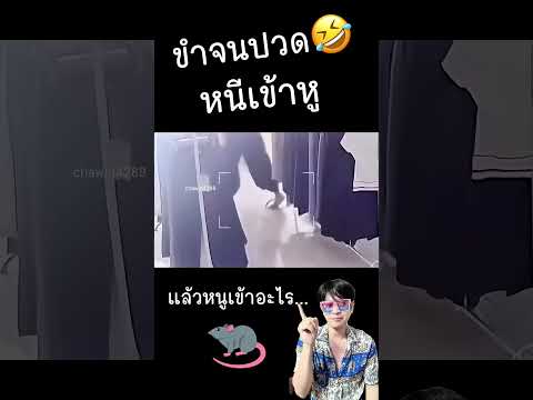 🤣ขำจนปวด หนีเข้าหู...แล้วหนูเข้าอะไร😆#ขำๆ #ฮาๆ #fun #viral