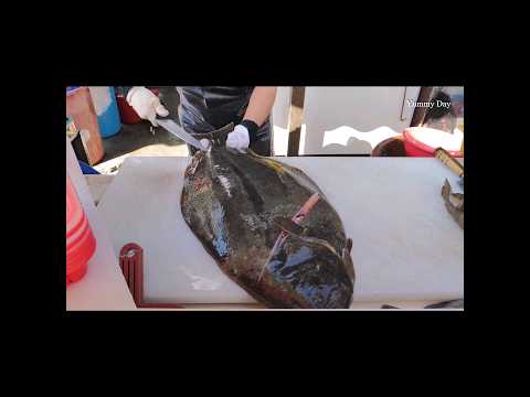 놀라운 속도의 광어 오로시 - 여성 달인 / Amazing Flatfish Cutting skill - Master Woman / #shorts