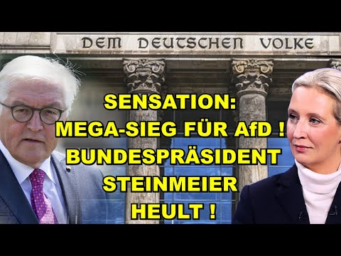 MEGA-SIEG für AfD! STEINMEIER HEULT!