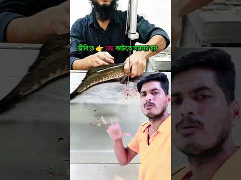 মাছ কাটতে গিয়ে যা হয় #youtubeshorts #youtubevideo #viralshorts