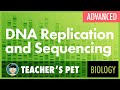 Exploring DNA Replication and Sequencing Techniques