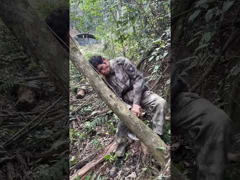 Steel Blade Tree Cutting Highlights