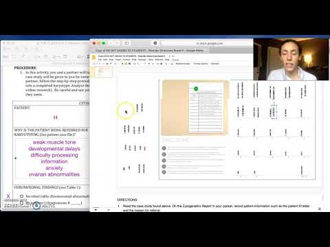 Lesson 3 1 Karyotype Board Directions