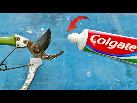 How to Sharpen Pruning Shears   Easy Gardening Tips & Tricks