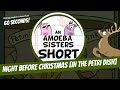 Amoeba Sisters Holiday Themes