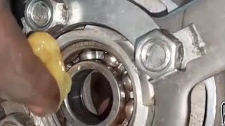 Siempre salo así 