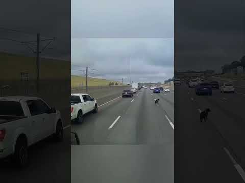 Правило "Трех Д" в действии #auto #automobile #топ #autogoda