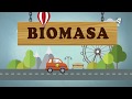 Biomasa y Ciclo del CO2