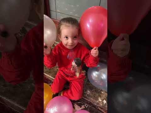 #funny #balloon #comedy #keşfet #family #turkeye #turkeyturkeyturkey #prank #turkey #baby