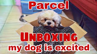 paano mag unboxing si kenichi (shihtzu) | dog unboxing video philippines | marcial pawz vlog