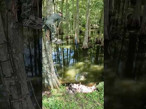 Spear Drops 4, Meat in the Water