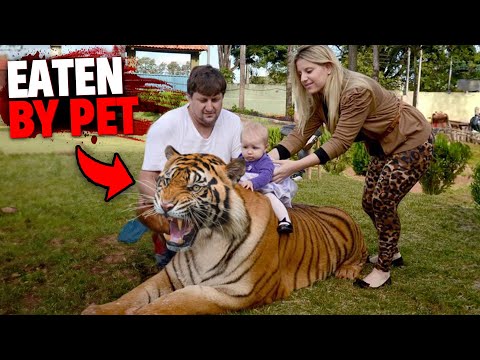 1 Hour of Pets Who Ate Their Owners ALVE In Front of EVERYONE! 2