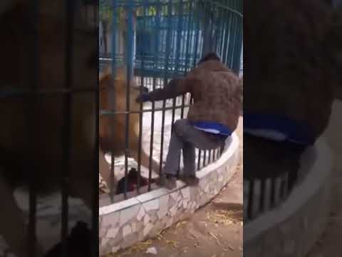 Cuidado con el gatito ? #eeuu #mexico #barber #chiapas #viral #ciudaddemexico #mexicocity #miami