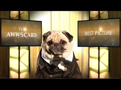 Pug Version Of The Oscars 2014 Best Picture Nominees Is Pawesome!