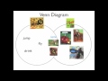 Insect Characteristics and Literature