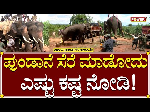 Elephant Rescue in Ramanagara : ಪುಂಡಾನೆ ಸೆರೆ ಮಾಡೋದು ಎಷ್ಟು ಕಷ್ಟ ನೋಡಿ | Power TV News