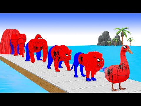 Paint Animals Gorilla Elephant Cow Lion Tiger Brown Bear Fountain Crossing Animal Game Animation