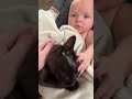 Understanding the Bond Between Pets