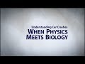 The Science Behind Car Crashes: Physics and Biology Explained