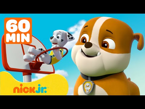 PAW Patrol | Rubble & PAW Patrol treten beim Sport gegeneinander an | 1 Stunde | Nick Jr Deutschland