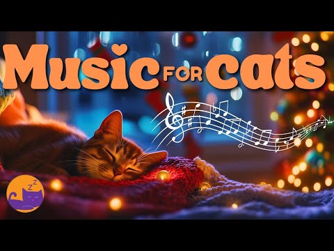 Cozy Cat Music - Soothing Melodies to Calm and Pamper Your Cat ❤️🐱