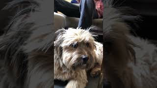 Live! at the Hollywood Bowl - Tour Trailer Vol.2