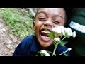Understanding Nature and Human Influence