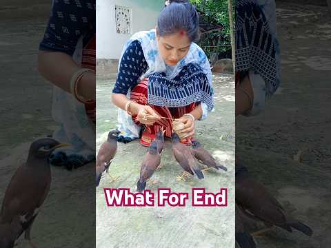 আমি মিঠুকে বোকলাম কেন 🤔 | #pujamondal #pujaback #shorts#shortsfeed#ytshorts#viralshort#shortsviral