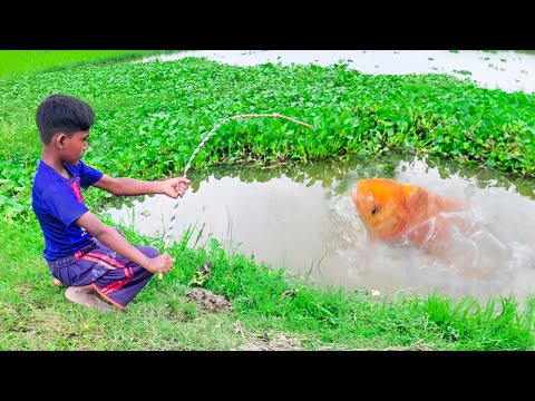 Best Fishing Video 🎣 Village Smart Boy Fishing With Hook Traditional Hook Fishing