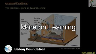 More on Learning