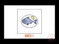 Animal Classification and Video Duration