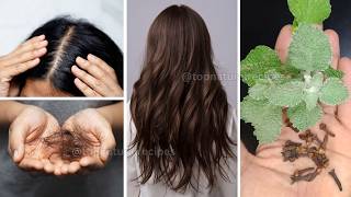 Hair Fall Solution at Home | Powerful Natural Remedy! 🌿💆‍♀️