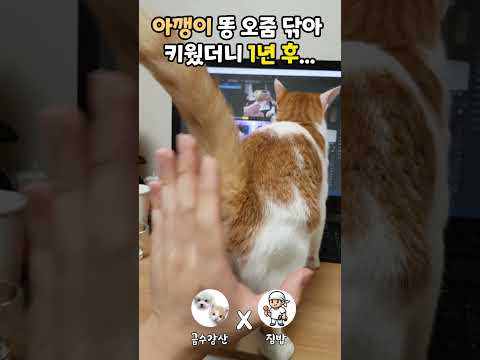 이거 너무한거 아니냐고...😭🤣