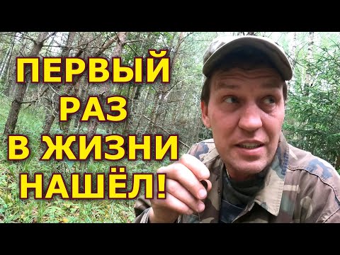 Опаааа!!! А вот где он был то! Прямо рядом с кладом! Нашел его, но они мешают искать!