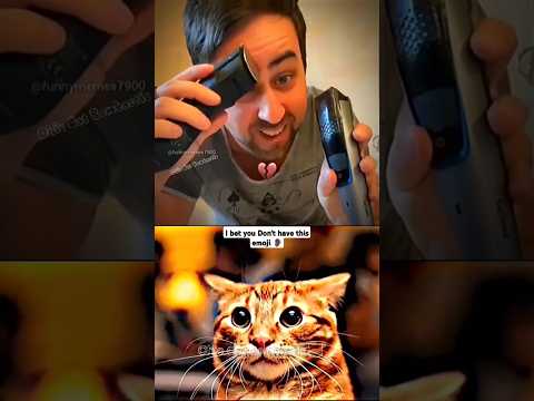 one minute silent for bro 🤣 #funny #meme #cat #trending