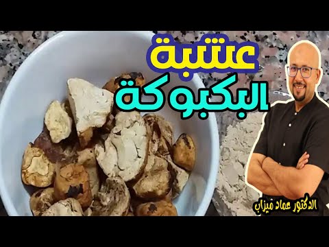 عشبة البكبوكة أو تالغودة  للزيادة  في الوزن  -   الدكتور عماد ميزاب   -