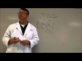 Genetics and Animal Breeding Concepts