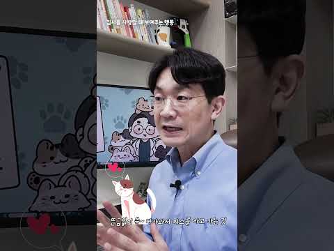 고양이가 나를 사랑할때 하는 행동은? #shorts