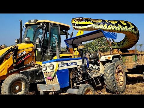 JCB 3DX Backhoe Machine Loading Mud In Swaraj 843XM Tractor Trolley And Mahindra Tractor | Jcb 3dx