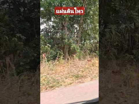 ด่วน แผ่นดินสั่นแรงมาก Earthquake 28/3/25