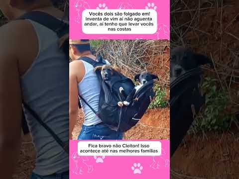 Tenho que levar nas costas #pets #humor #animaisengracados #cachorro #gatos #petsengracados #comedia