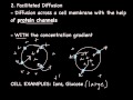 Exploring Types of Passive Transport