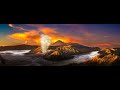 Climate Change and Carbon Dynamics