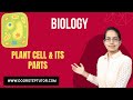 Plant Cell Organelles and Functions