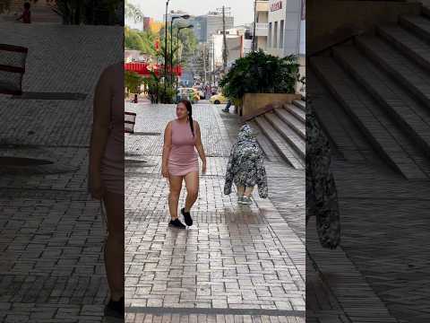 El pequeño juguetón😂😅 #humor #yosoydelos7mil #funny #humoristefrancais #broma #prank #shorts